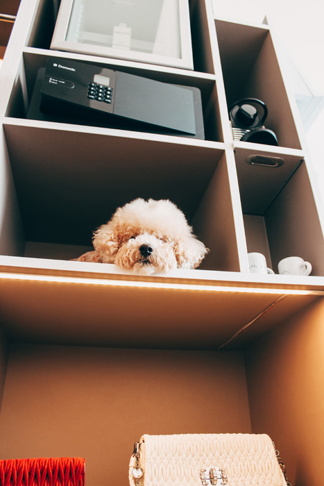 Teddy peeking from an open wardrobe at INNSiDE New York NoMad