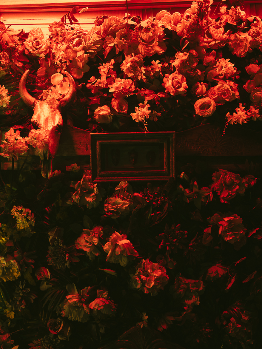 Floral wall installation in red light